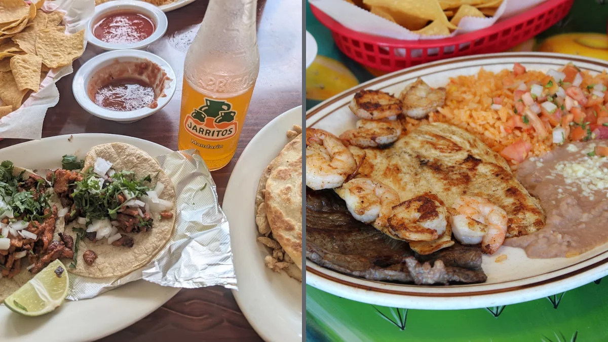Freshly served entrées on white plates.