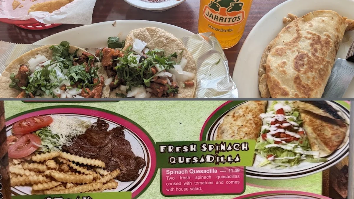 Freshly served entrées on white plates.